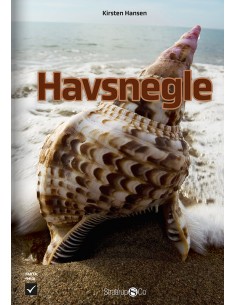 Havsnegle