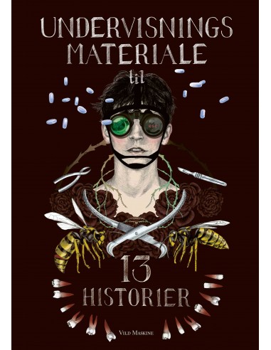 Undervisningsmateriale til 13 HISTORIER