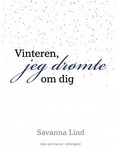 Vinteren jeg drømte om dig