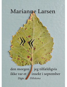 den morgen jeg tilfældigvis...