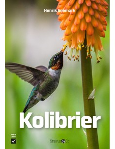 Kolibrier