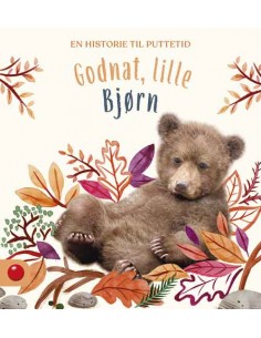 Godnat, lille Bjørn