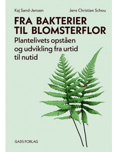 Fra bakterier til blomsterflor