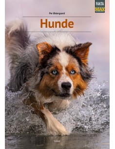 Hunde