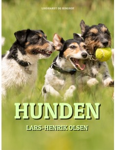 Hunden