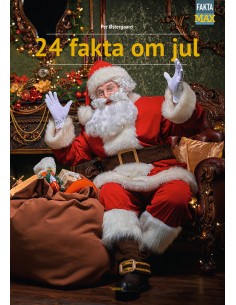 24 fakta om jul