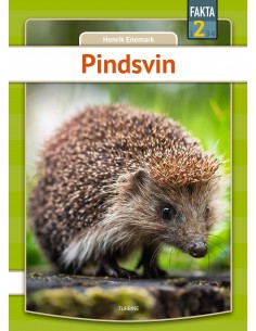 Pindsvin