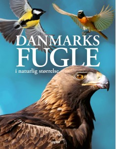 Danmarks fugle i naturlig...