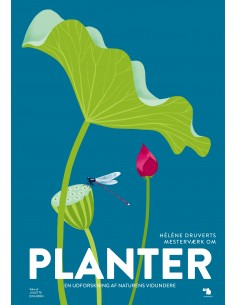 Planter