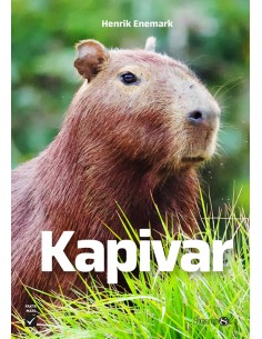Kapivar