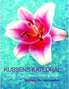Kussens Katedral - vejen...