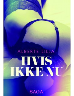 Hvis ikke nu – erotisk roman