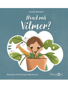 Hvad må Vilmer?