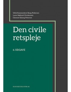 Den civile retspleje
