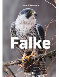 Falke