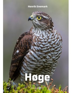 Høge