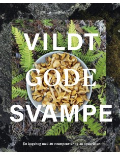 Vildt gode svampe