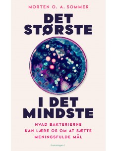 Det største i det mindste