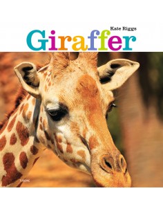 Giraffer