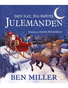 Den nat, jeg mødte julemanden