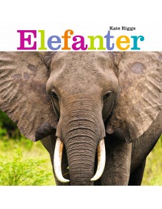 Elefanter