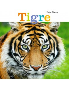 Tigre