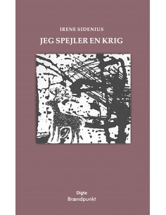 Jeg spejler en krig