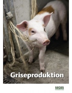 Griseproduktion