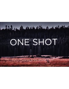 One Shot