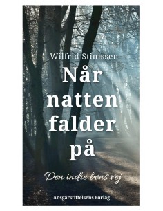 Når natten falder på