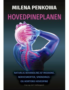 Hovedpineplanen