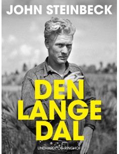 Den lange dal