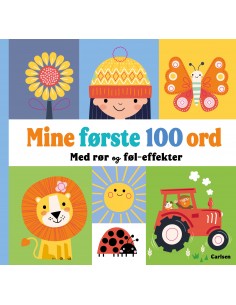 Mine første 100 ord med rør...