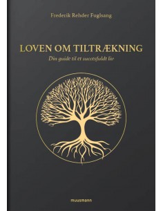 Loven om tiltrækning
