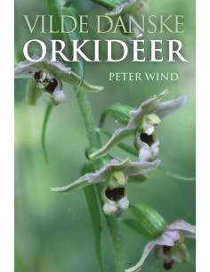 Vilde danske orkidéer