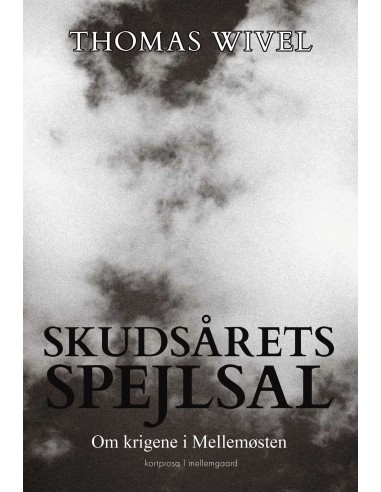 Skudsårets spejlsal