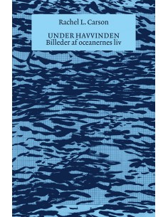 Under havvinden