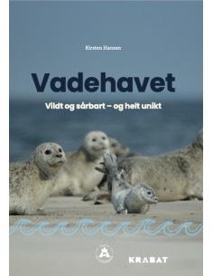 Vadehavet