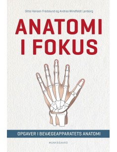 Anatomi i fokus