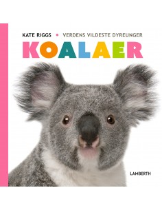 Koalaer