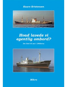 Hvad lavede vi egentlig...