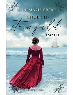 Under en stormfuld himmel