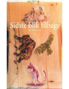 Sidste blik tilbage