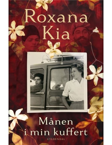 Månen i min kuffert