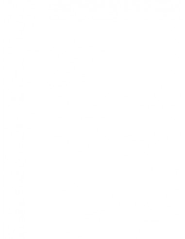 Lille Panda møder Lille Tiger