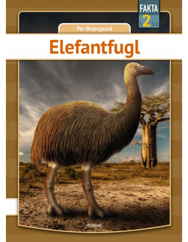 Elefantfugl