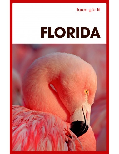 Turen går til Florida Turen går til Florida