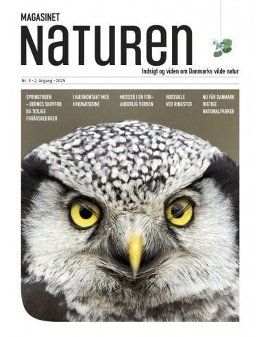 Magasinet Naturen Nr. 3 - 2025