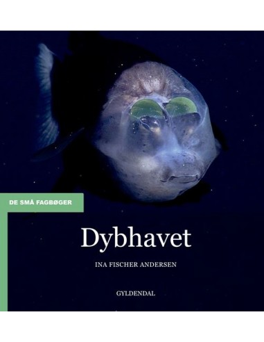 Dybhavet