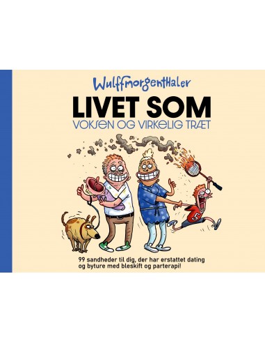 Livet som voksen og virkelig træt